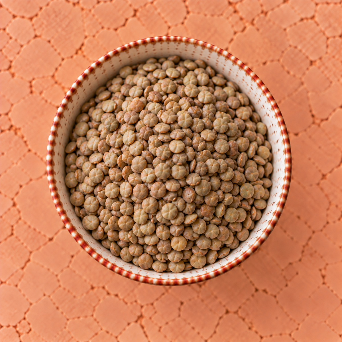 LENTICCHIE BIO
